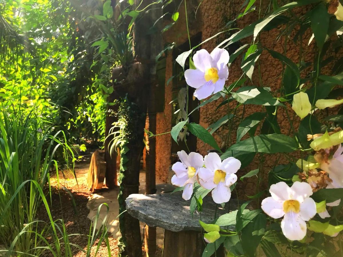 Villa Earth House Sri Lanka Neboda Esterno foto