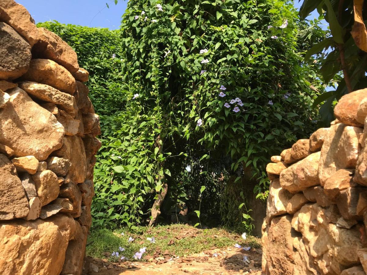 Villa Earth House Sri Lanka Neboda Esterno foto