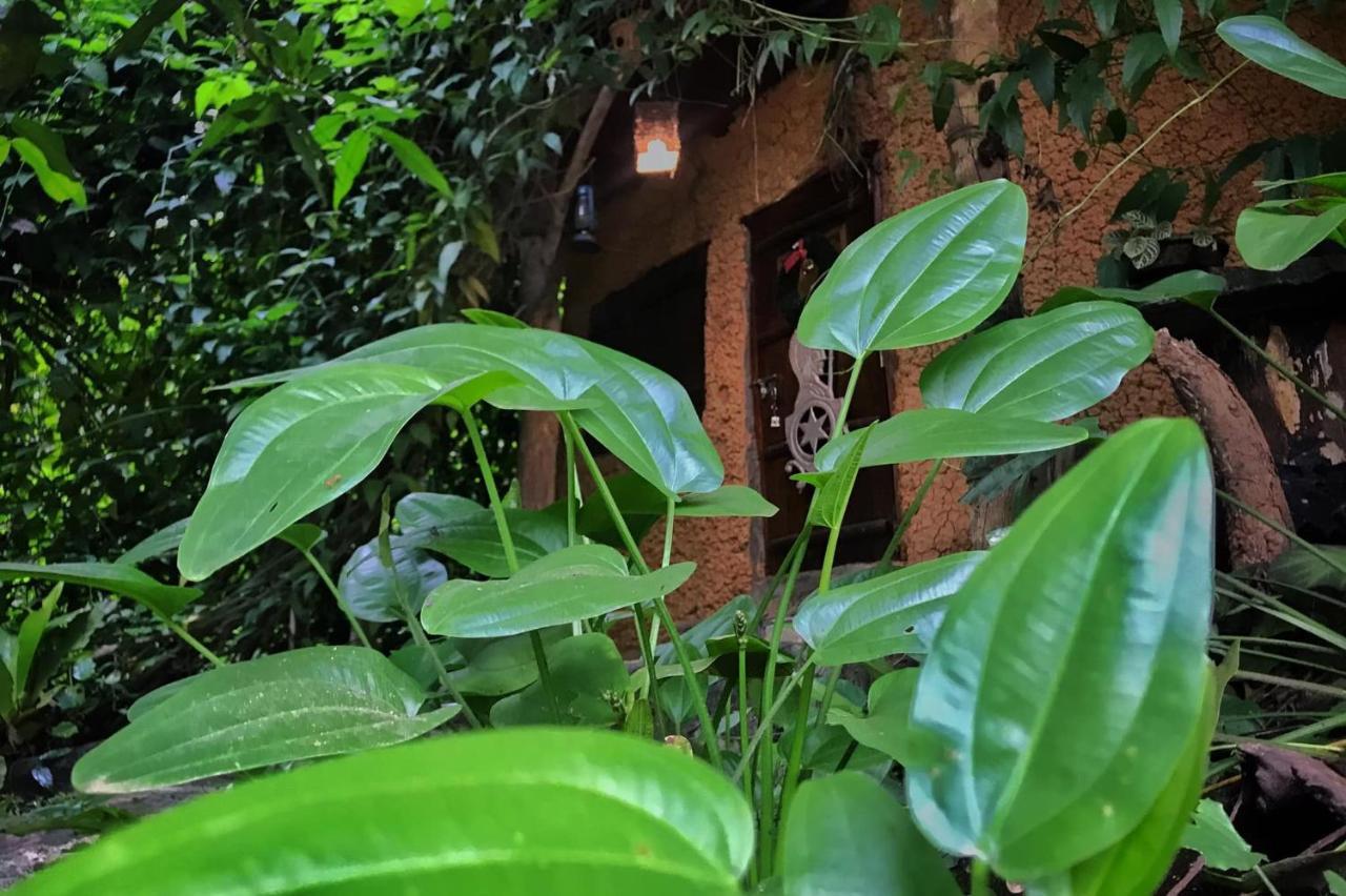 Villa Earth House Sri Lanka Neboda Esterno foto