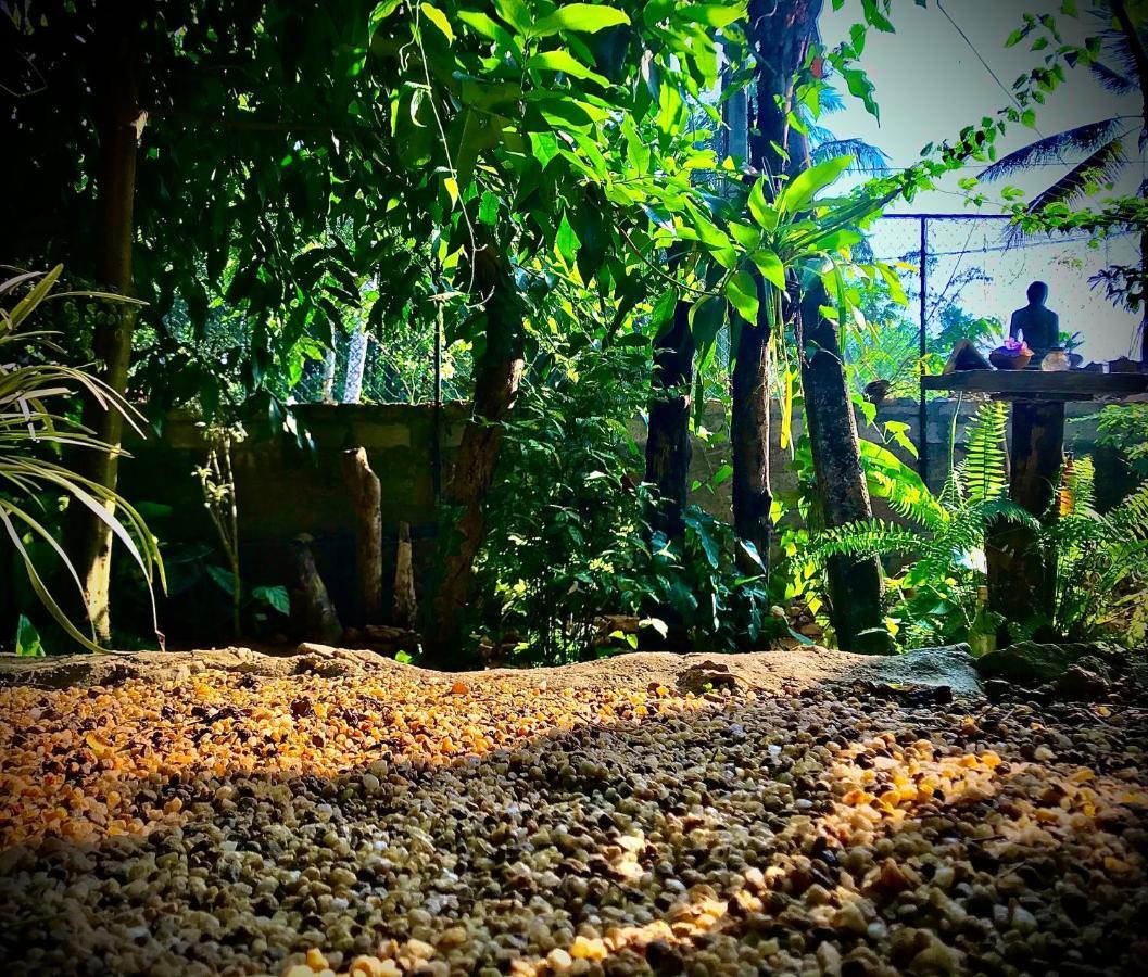 Villa Earth House Sri Lanka Neboda Esterno foto