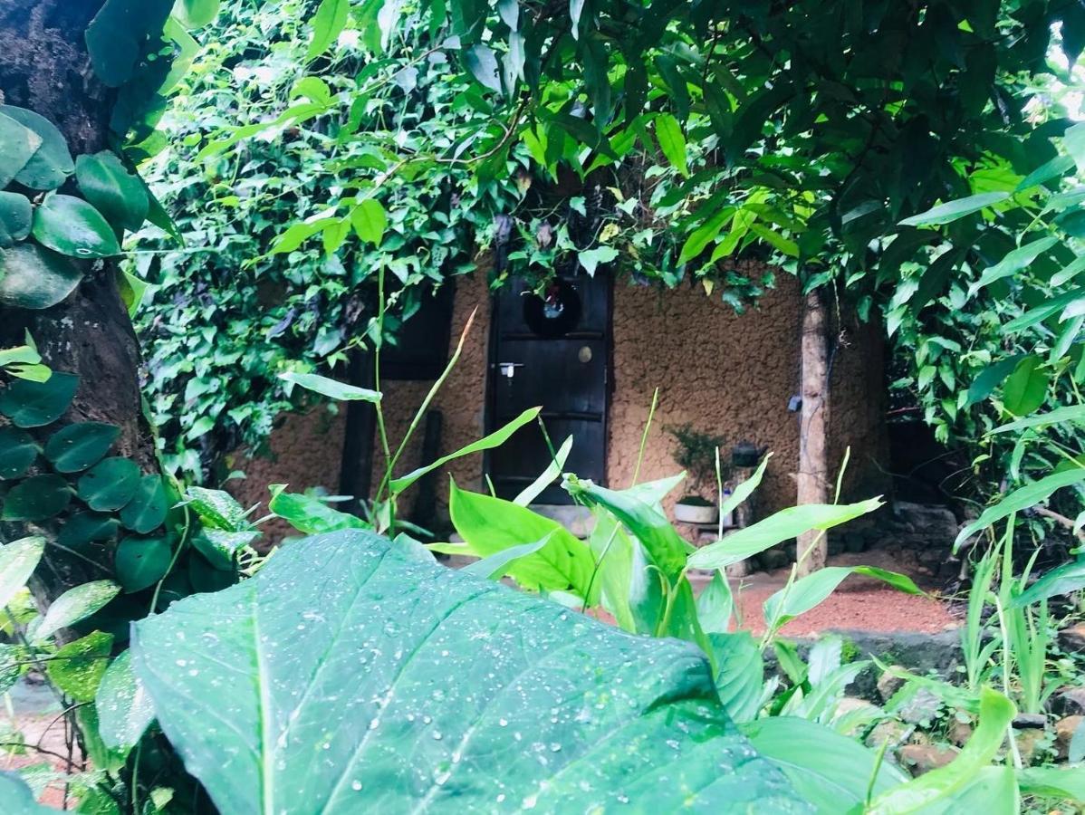Villa Earth House Sri Lanka Neboda Esterno foto