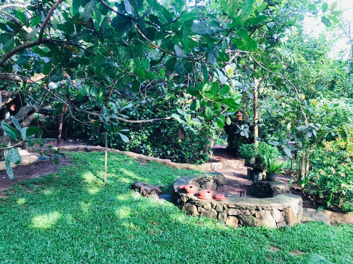 Villa Earth House Sri Lanka Neboda Esterno foto