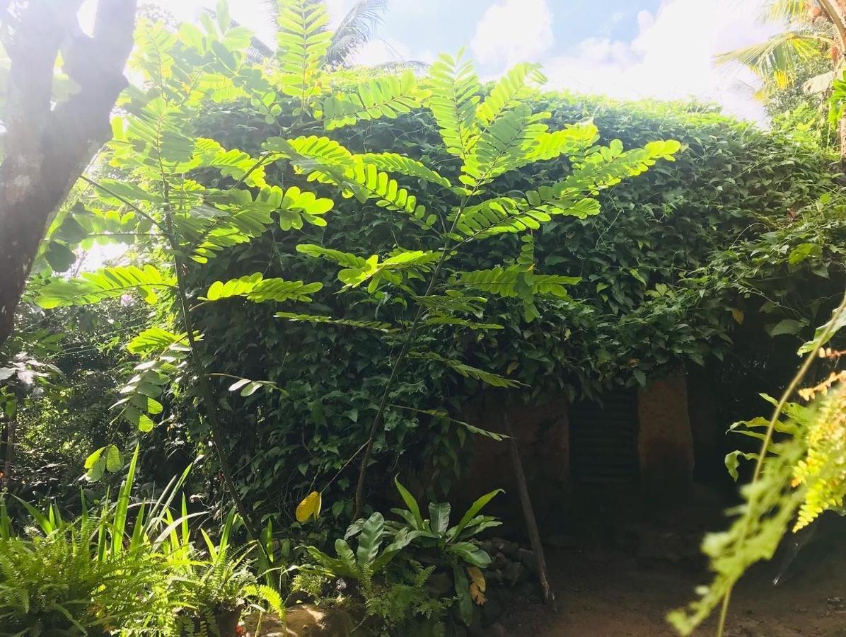Villa Earth House Sri Lanka Neboda Esterno foto