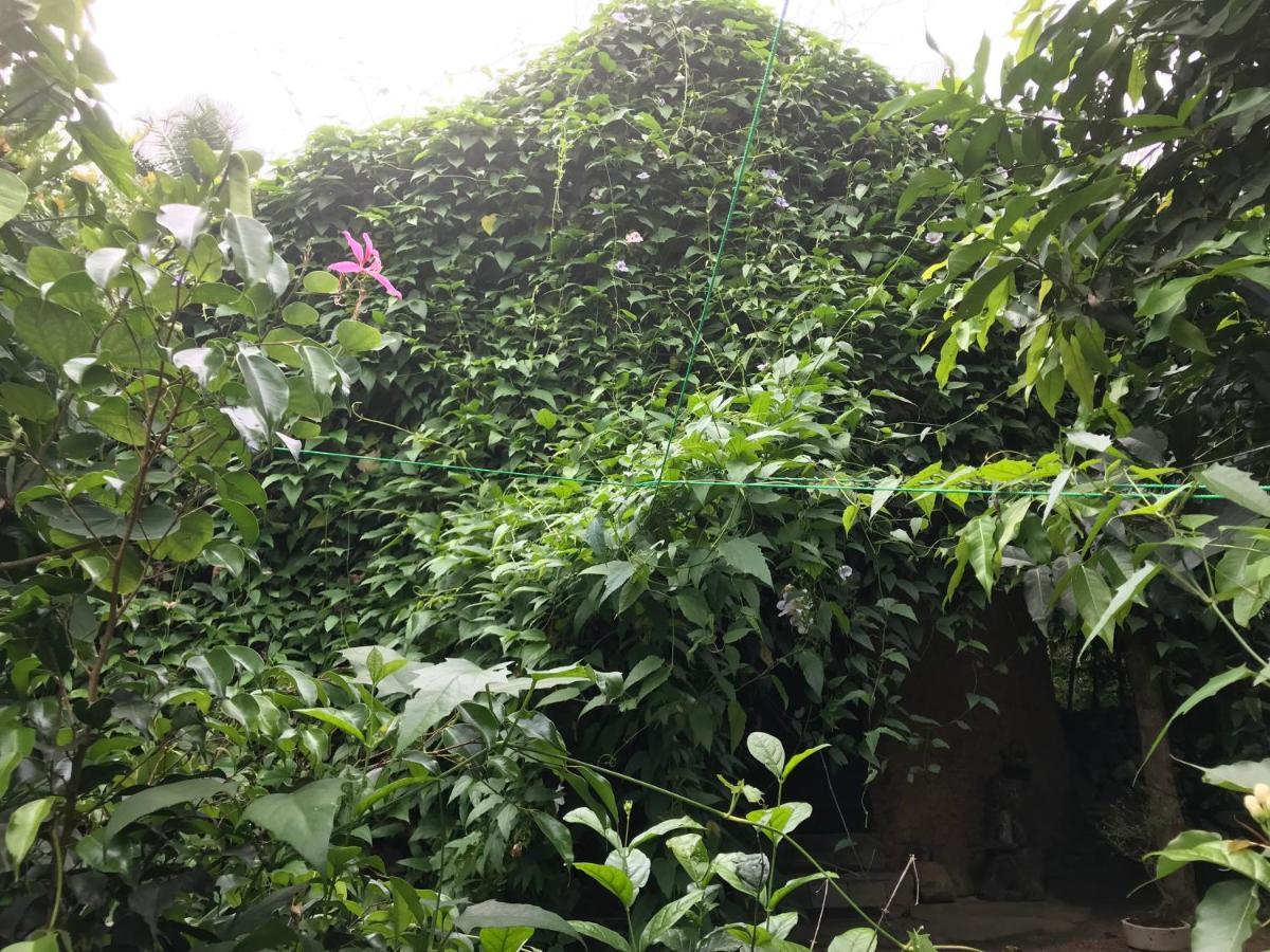 Villa Earth House Sri Lanka Neboda Esterno foto